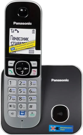 Радиотелефон DECT Panasonic KX-TG6811RUB черный АОН